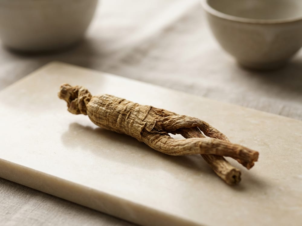 Panax Ginseng (Korean Red Ginseng)